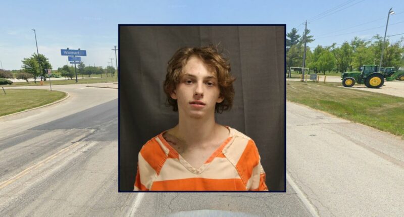 Drunk driver who caused deaths of 2 may avoid prison