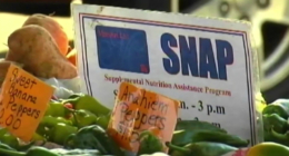 Eastern IL Foodbank will continue supporting community amidst SNAP confusion