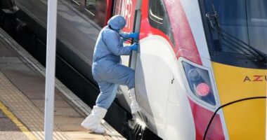 Eight minutes to put 11 in hospital: What's known about UK train stabbing