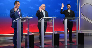 Election Day: What's on the ballot in the first general election since Donald Trump became president