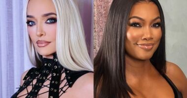 Erika Jayne on Garcelle Saying She’d Return to 'RHOBH' If She Was Fired