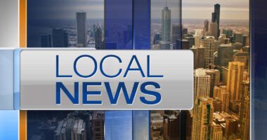 Evanston holding holiday food, book and toy drive