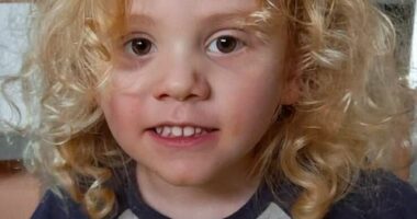 Missing four-year-old Gus