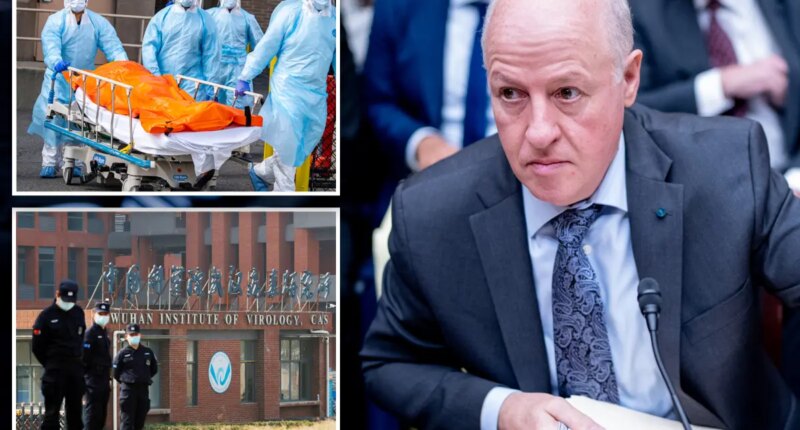 Exclusive | Peter Daszak, Wuhan doctor and EcoHealth Alliance ex-prez, 'unemployed, poor': suit