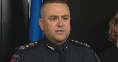 SA Country Fire Service (CFS) chief officer Brett Loughlin confirmed ﻿Peter Curtis died while fighting a scrub fire in Pinkawillinie Conservation Park, west of Kimba, yesterday afternoon.