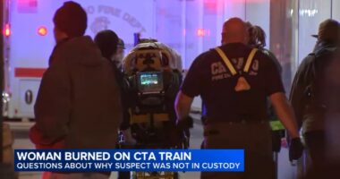Family IDs woman set on fire on CTA as Bethany MaGee; officials question electronic monitoring system after Lawrence Reed arrest