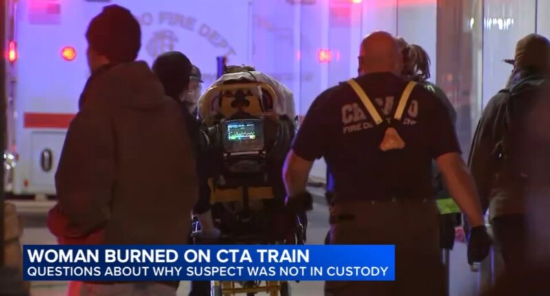 Family IDs woman set on fire on CTA as Bethany MaGee; officials question electronic monitoring system after Lawrence Reed arrest