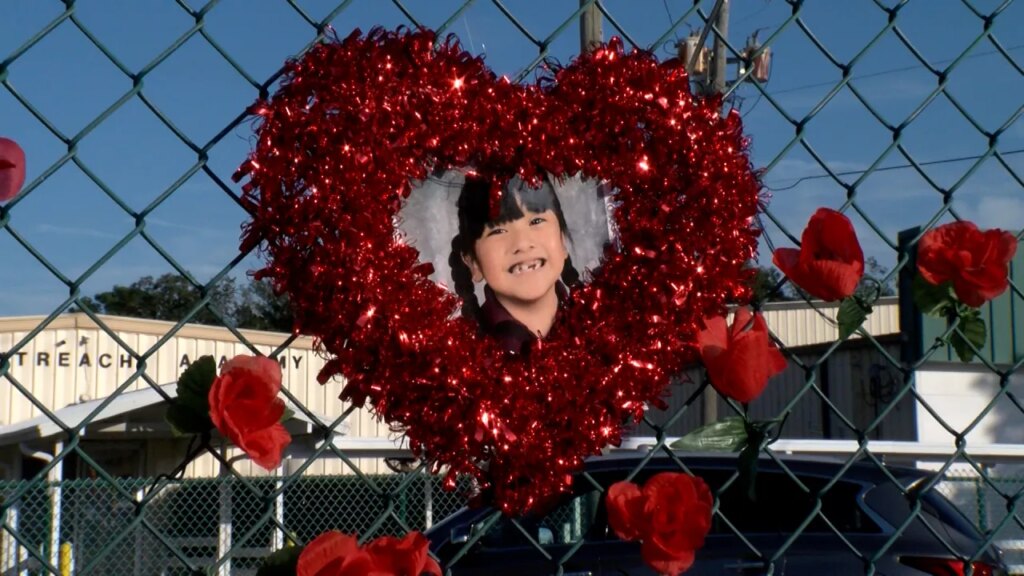 Father speaks after 6-year-old daughter killed, wife and son hit by driver in Tampa