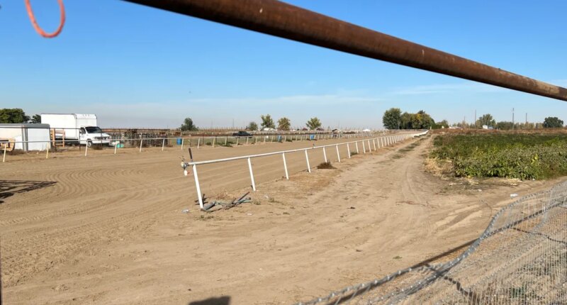FILE - La Catedral Arena horse race track in Wilder, Idaho is seen in Oct. 22, 2025, three days after the FBI and other law enforcement agencies raided the property as part of a gambling investigation. (AP Photo/Rebecca Boone, File)
