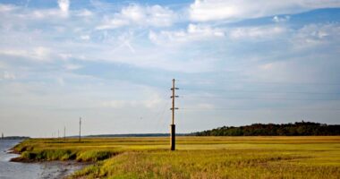 Ferry collision reported on landing dock at Sapelo Island