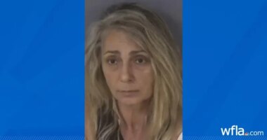 Florida 8-year-old stabs grandmother to save mother during murder attempt: deputies