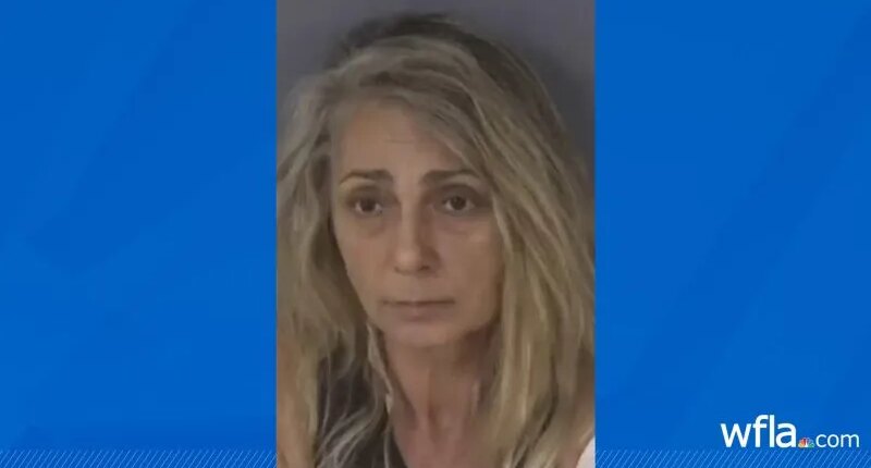 Florida 8-year-old stabs grandmother to save mother during murder attempt: deputies