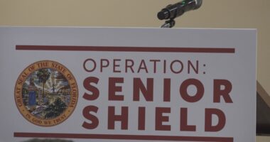 Florida Lt. Governor aims to protect seniors from scammers with 'Operation Senior Shield'