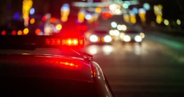 Florida Missing Child Alert canceled for 4 Clearwater kids