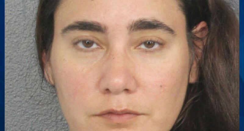 Florida Woman Tries to Kidnap 5-Year-Old Boy From Grandmother’s SUV