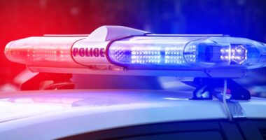 Florida eviction turns deadly as a deputy is killed, shooter and two others wounded