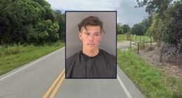 Florida man allegedly sprays deputies with 'bear repellent'