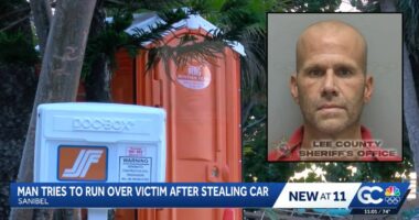 Florida man hid in porta potty after stealing car: Police
