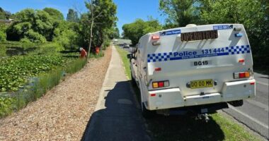 Police officers investigating the fatal stabbing of a man in a Bega park, on the NSW South Coast, have conducted a search of nearby wetland.