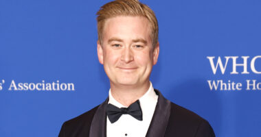 Fox News Star Peter Doocy's Frozen Hair Is Starting To Give Jack Frost Vibes