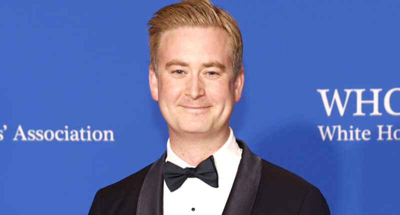 Fox News Star Peter Doocy's Frozen Hair Is Starting To Give Jack Frost Vibes