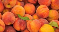 Fresh peaches sold at Illinois Kroger, Trader Joe’s stores recalled over listeria risk