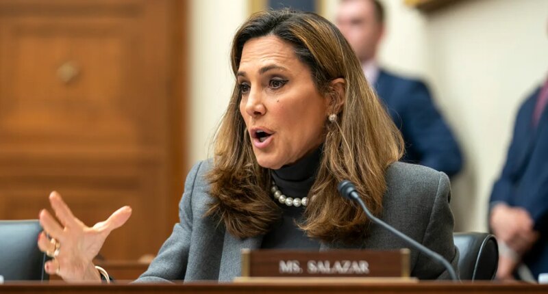 GOP congresswoman on Trump calling female reporter 'piggy': 'No one is perfect'