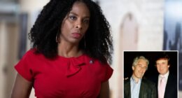 GOP effort to censure Dem Plaskett for texting Epstein survives first House vote