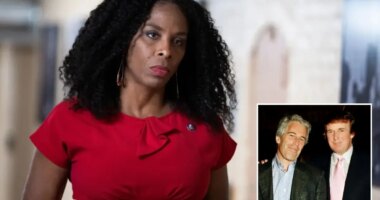 GOP effort to censure Dem Plaskett for texting Epstein survives first House vote