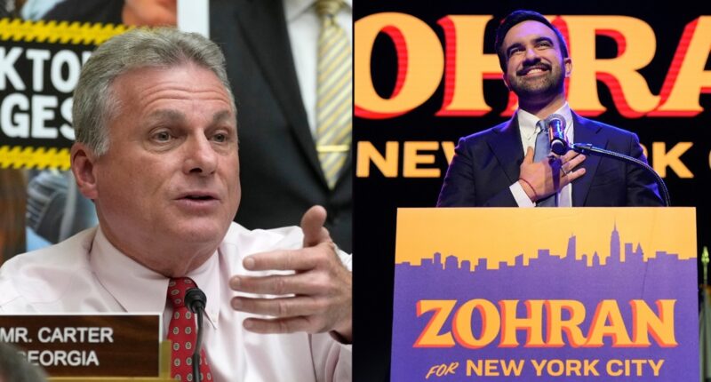 Georgia GOP lawmaker introduces MAMDANI Act, restricting federal funds to New York City