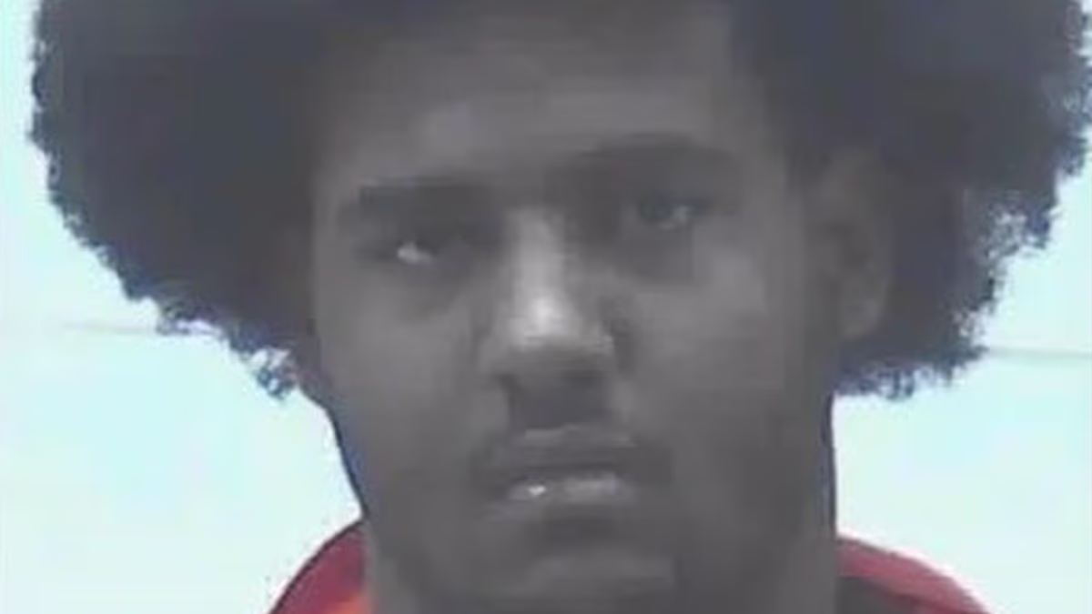 Georgia football player Nyier Daniels accused of cruelty to children and fleeing police at over 100mph