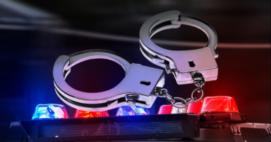 Georgia police chief arrested for stalking, camera misuse