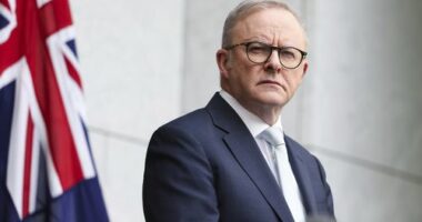Prime Minister Anthony Albanese at a press conference at Parliament House in Canberra on Tuesday 26 August 2025.