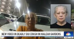 Grandma drove SUV carrying her best friend into lake: Police