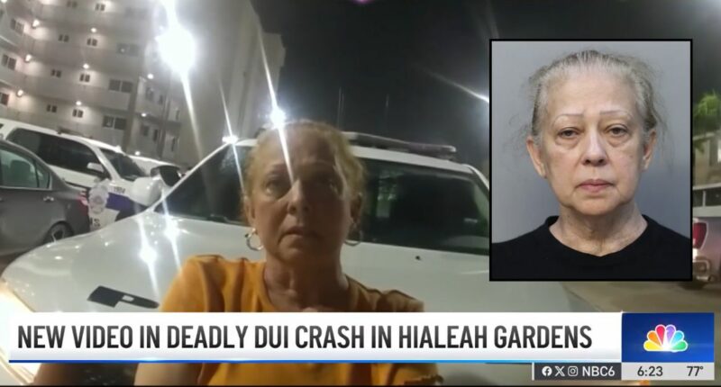 Grandma drove SUV carrying her best friend into lake: Police