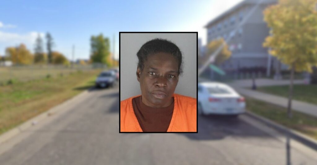 Grandma lets twin toddlers eat drugs from her purse: Police