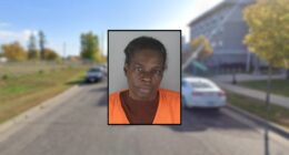 Grandma lets twin toddlers eat drugs from her purse: Police