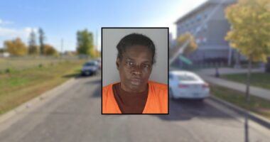 Grandma lets twin toddlers eat drugs from her purse: Police