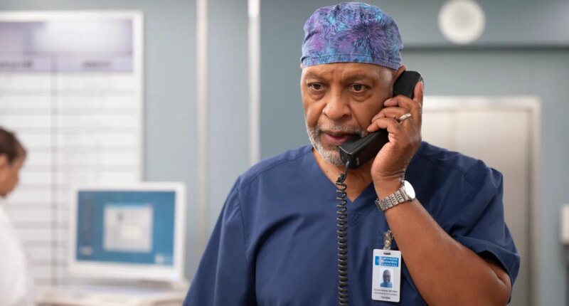 Grey’s Anatomy’s James Pickens Diagnosed With Cancer Amid Character’s Battle