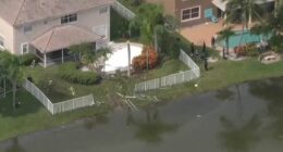 The plane crashed into a pond in a residential neighbourhood of Fort Lauderdale, Florida.