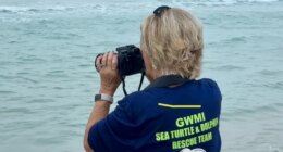 Gulf World Marine Institute to change name after closing doors due to backlash