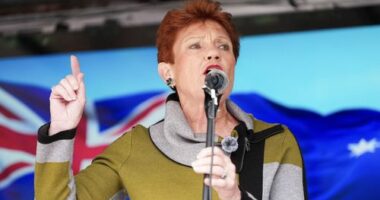 Hanson addresses immigration rally in Melbourne