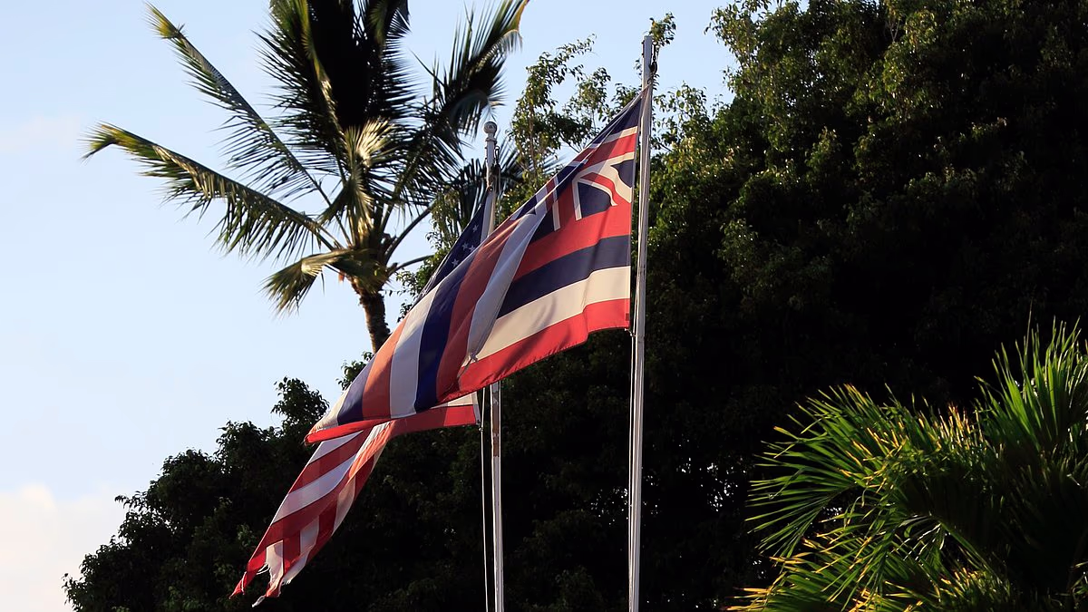 Hawaii locals rage as they are banned from flying state's flag