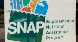 Here's when full November SNAP benefits will be available to Georgia recipients