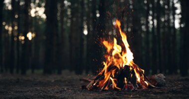 Hillsborough, Polk counties put outdoor burn ban into effect