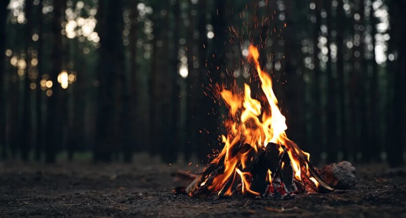 Hillsborough, Polk counties put outdoor burn ban into effect