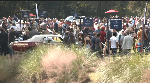 Hilton Head Island holds annual Concours d'Elegance