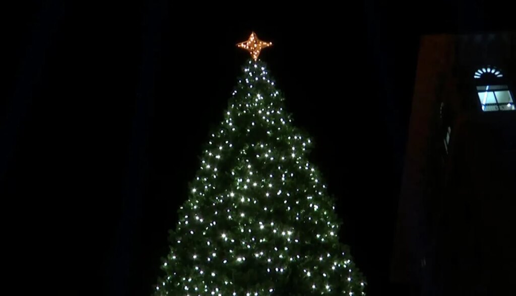 Holiday events in the Coastal Empire, Lowcountry