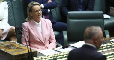 Leader of the Opposition Sussan Ley and Prime Minister Anthony Albanese during the first Question Time of the 48th parliament in the House of Representatives at Parliament House in Canberra