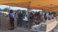 Hundreds turn out for emergency food distribution in Jacksonville amid federal shutdown